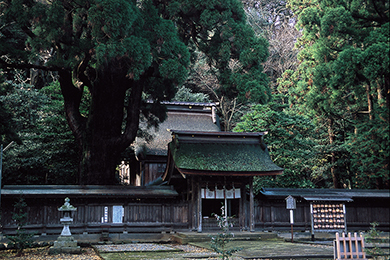 若狭姫神社